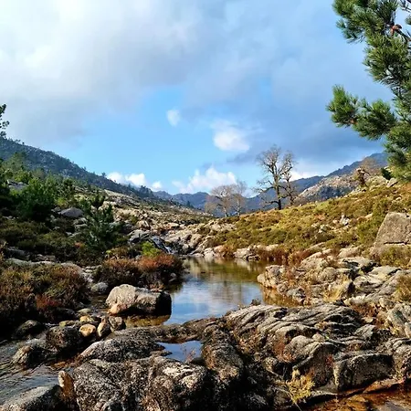 Nyaraló D'oliva - River Side *