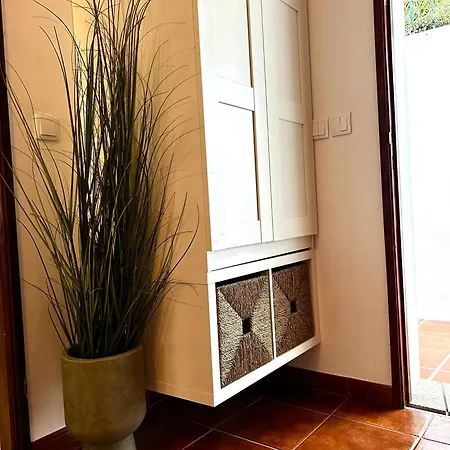 D'oliva - River Side *