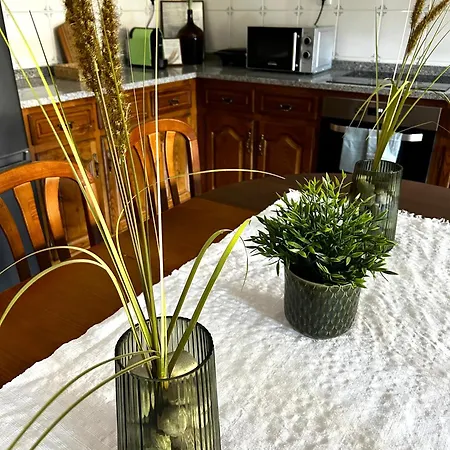 D'oliva - River Side *