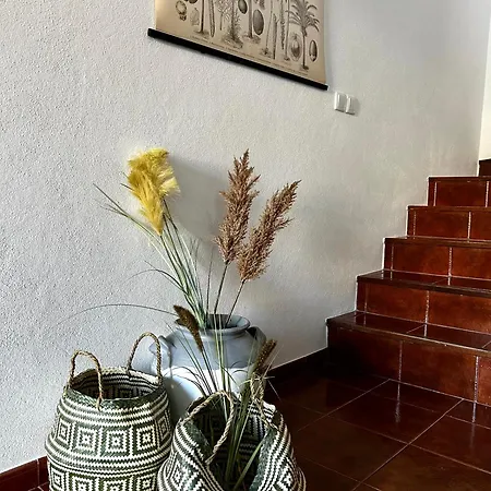 Tatil Evi D'oliva - River Side