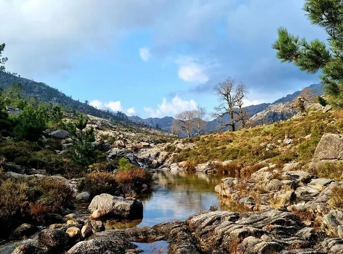 Vakantiehuis D'oliva - River Side *