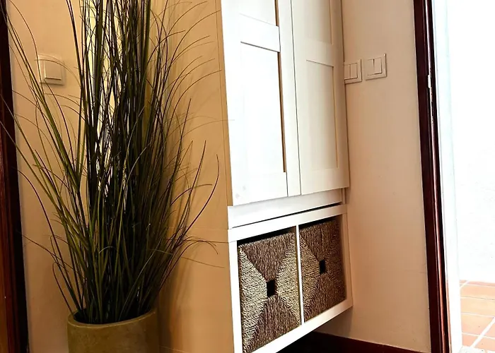 D'oliva - River Side *